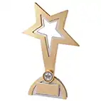 Classic Achievement Star Award
