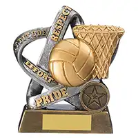 12.5cm Infinity Netball Award