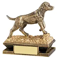 Gundog Award