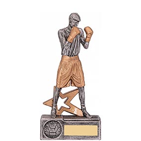 Male Boxing Trophy 185mm