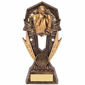 Allstar Boxing Male Trophy 185mm