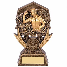 Allstar Darts Male Trophy 145mm