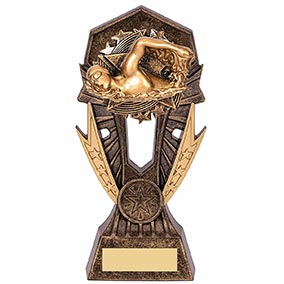Allstar Male Swimmer Trophy 185mm