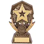 Allstar Gold Star Award 145mm