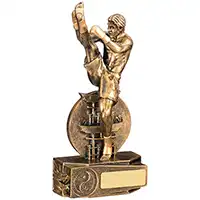 195mm Male Kickboxing Award