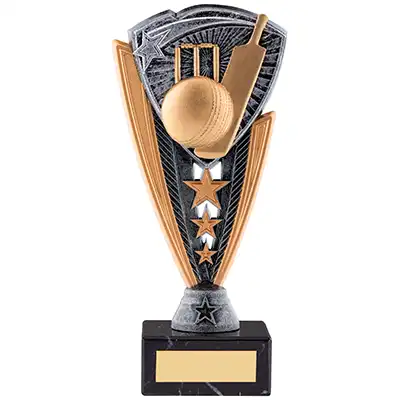 19.5cm Utopia Cricket Award