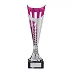 Pink Garrison Cup Trophy 350mm