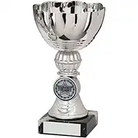 Bordeaux Silver Cup 14cm