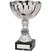 Bordeaux Silver Cup 18cm