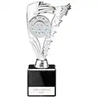 Silver Frenzy Multisport Trophy 215mm