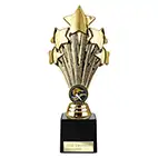 Gold 5 Star Trophy 220mm