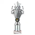 Silver Super 5 Star Trophy 240mm