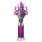 Purple Super 5 Star Trophy 290mm