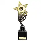 Gold Innov8 Star Trophy 250mm