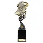 Innov8 Gold Carp Trophy 250mm