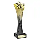 Star Tower Achievement Award 270nmm
