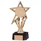 Gold High Star Trophy 195mm